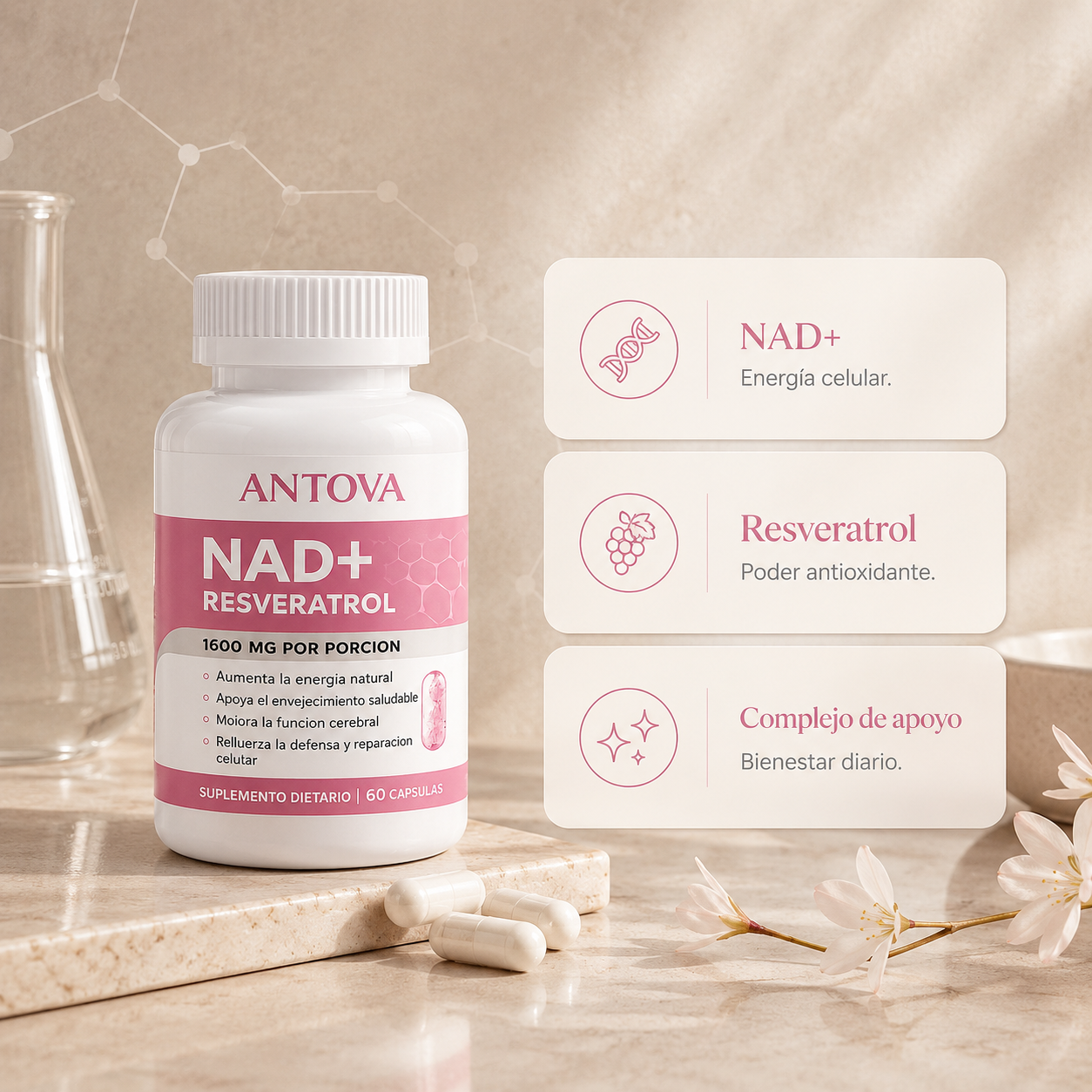 Antova NAD+ Elite™